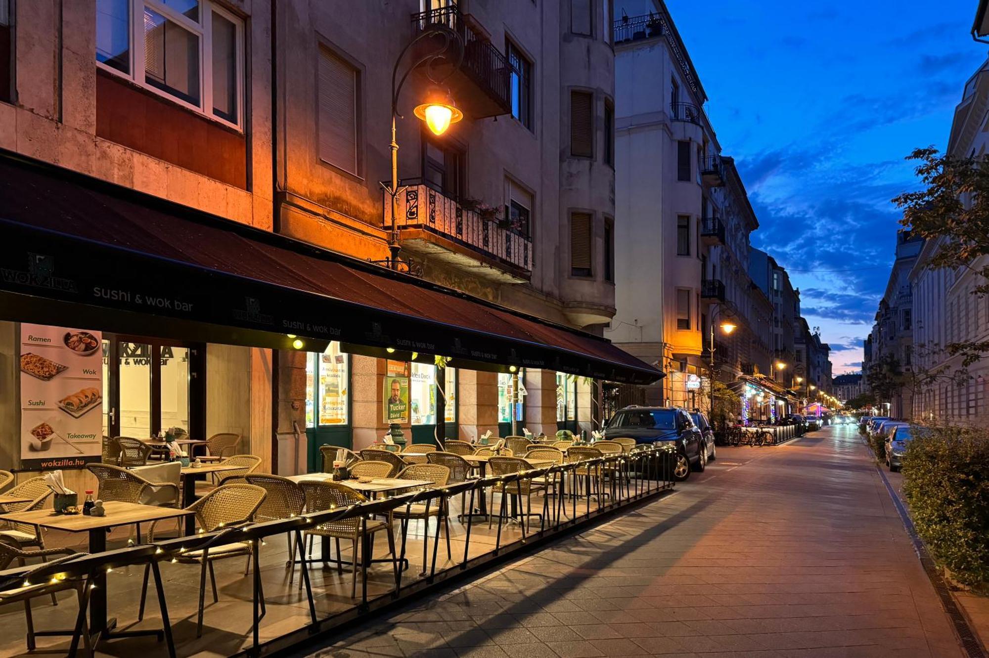 Jungle Aesthetics Downtown Apartman Aircon And Garage Parking Budapeşte Dış mekan fotoğraf
